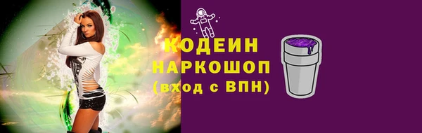 прущий лед Осташков