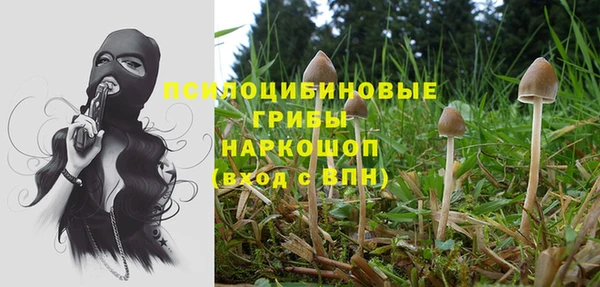прущий лед Осташков